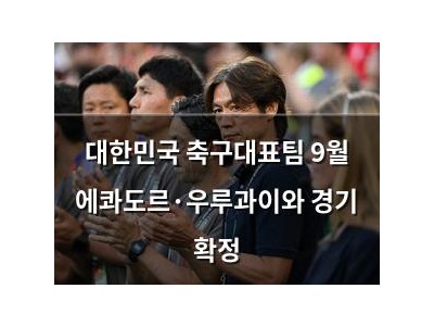 대한민국 축구대표팀 9월 에콰도르·우루과이와 경기 확정