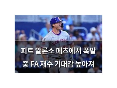 피트 알론소 메츠에서 폭발 중 FA 재수 기대감 높아져