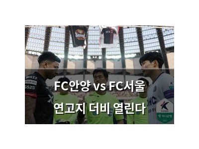 FC안양 vs FC서울 연고지 더비 열린다