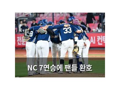 NC 7연승에 팬들 환호