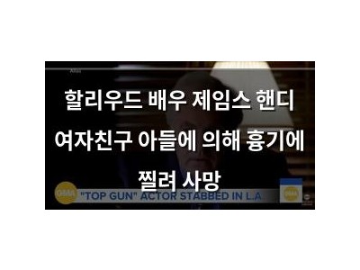 할리우드 배우 제임스 핸디 여자친구 아들에 의해 흉기에 찔려 사망