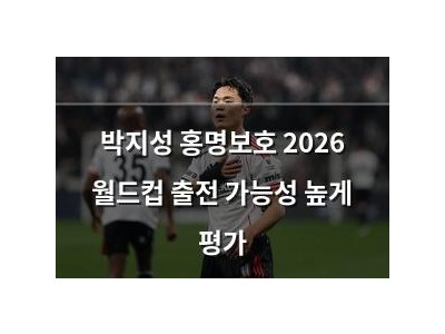 박지성 홍명보호 2026 월드컵 출전 가능성 높게 평가