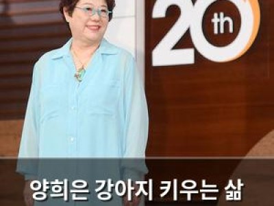 양희은 강아지 키우는 삶 끝내며 감성 글 남겨