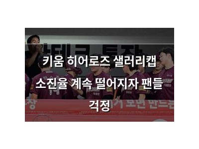 키움 히어로즈 샐러리캡 소진율 계속 떨어지자 팬들 걱정