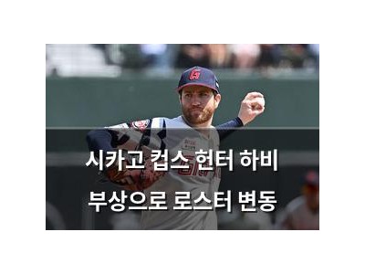 시카고 컵스 헌터 하비 부상으로 로스터 변동