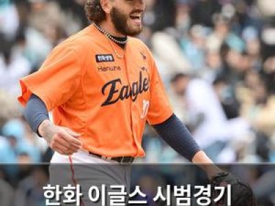한화 이글스 시범경기 4연승에 NC 팬들 분노