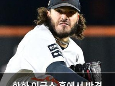 한화 이글스 홈에서 반격 기대