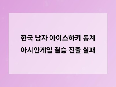 한국 남자 아이스하키 동계 아시안게임 결승 진출 실패