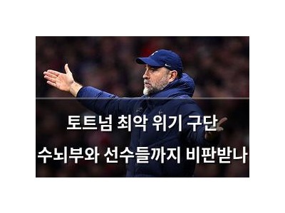 토트넘 최악 위기 구단 수뇌부와 선수들까지 비판받나