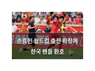 손흥민 월드컵 출전 확정에 한국 팬들 환호
